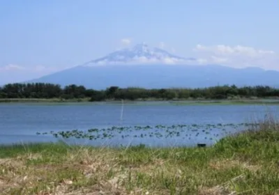 津軽亀ヶ岡焼 特徴 1