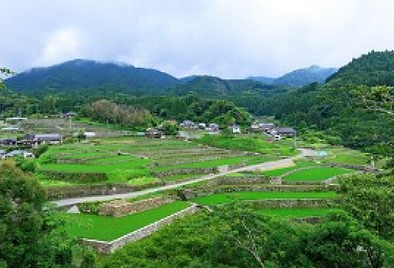 小石原焼 特徴2