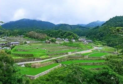 小石原焼 特徴 2